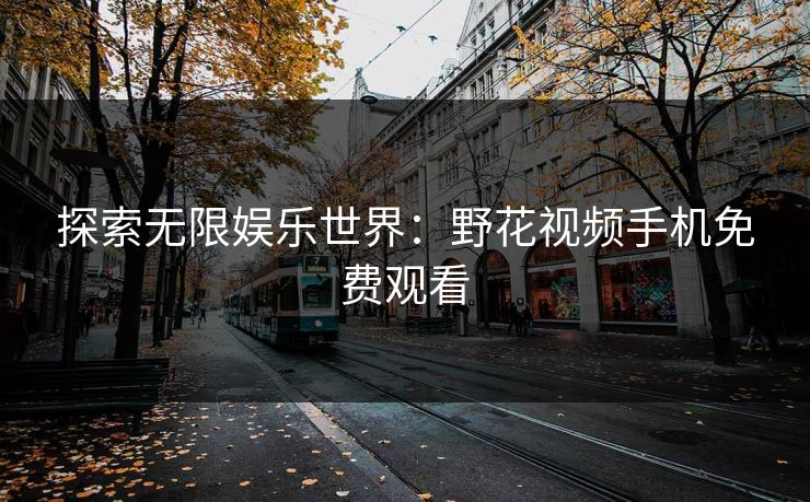 探索无限娱乐世界：野花视频手机免费观看