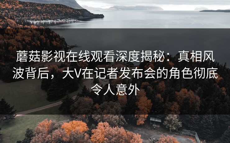 蘑菇影视在线观看深度揭秘：真相风波背后，大V在记者发布会的角色彻底令人意外