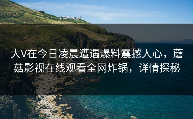 大V在今日凌晨遭遇爆料震撼人心，蘑菇影视在线观看全网炸锅，详情探秘