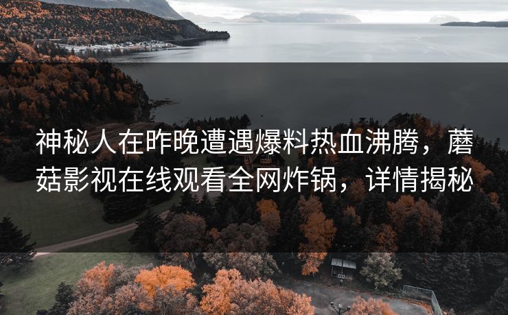 神秘人在昨晚遭遇爆料热血沸腾，蘑菇影视在线观看全网炸锅，详情揭秘