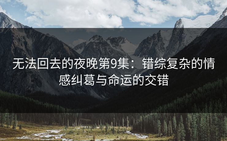 无法回去的夜晚第9集：错综复杂的情感纠葛与命运的交错