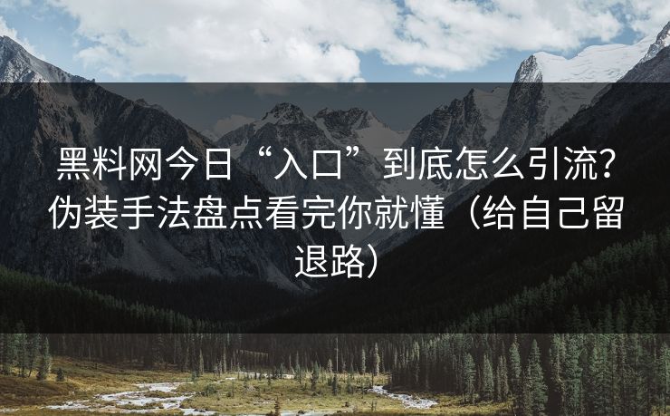 黑料网今日“入口”到底怎么引流？伪装手法盘点看完你就懂（给自己留退路）